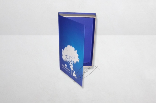 Kitap Kutusu kt003