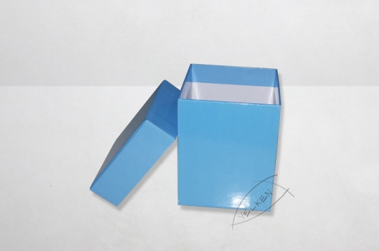 Kutu kt006